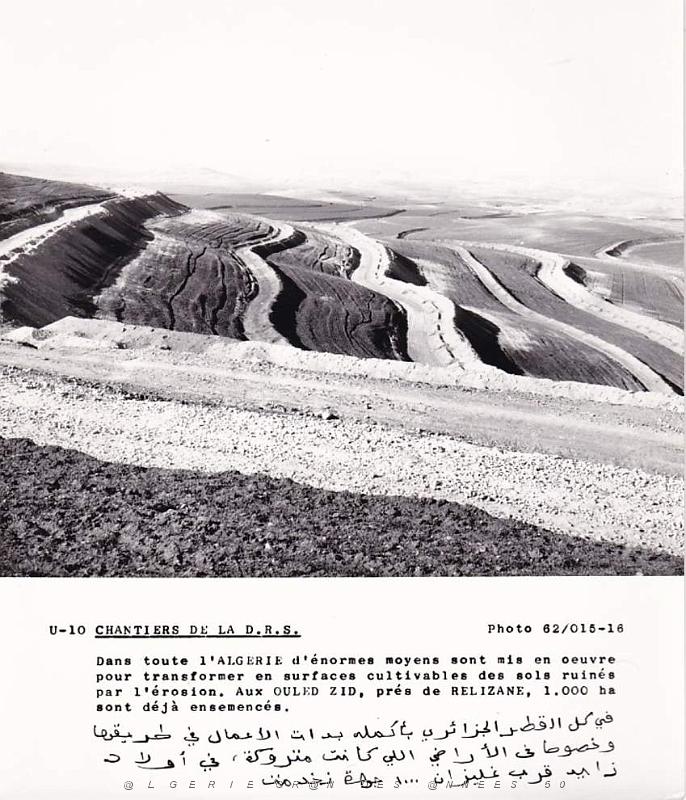 Algerie propagande 051.jpg